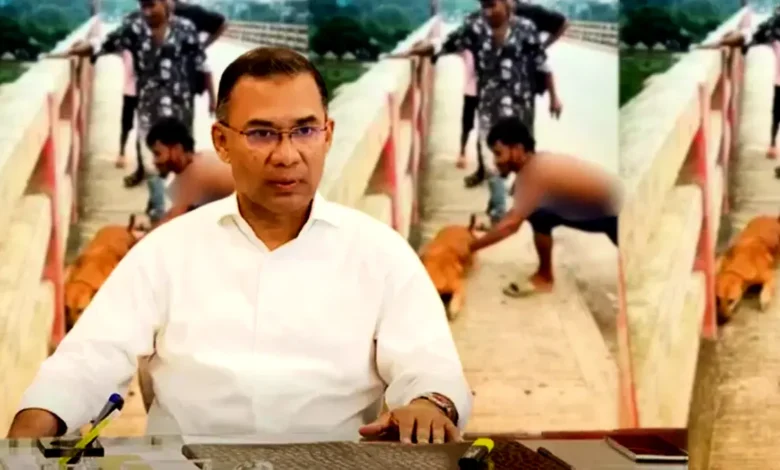 পশুর প্রতি নিষ্ঠুরতার সেই ভিডিও প্রধানমন্ত্রীর নজরে, ব্যবস্থা নেওয়ার নির্দেশ