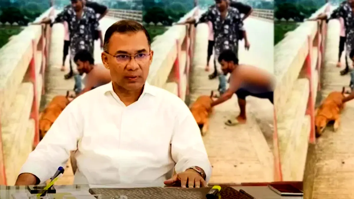 পশুর প্রতি নিষ্ঠুরতার সেই ভিডিও প্রধানমন্ত্রীর নজরে, ব্যবস্থা নেওয়ার নির্দেশ