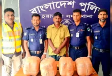 পুলিশের বিশেষ অভিযানে ১৬ কেজি গাঁজাসহ মাদক ব্যবসায়ী গ্রেফতার