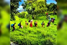 সাপাহা সীমান্তে ১৯ ঘন্টা পর ১৭ জনকে বিএসএফ ফিরিয়ে নিল