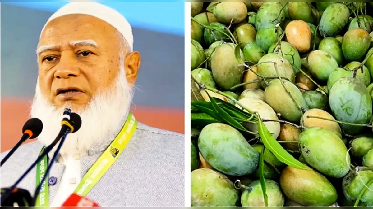 সংসদের সবাইকে ১০ কেজি করে আম উপহার দিলেন জামায়াত আমির