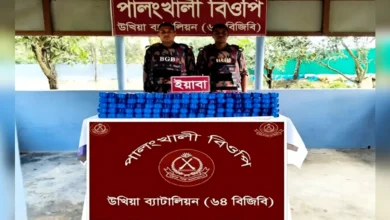 উখিয়া সীমান্তে ৫ লাখ ৫০ হাজার পিস ইয়াবা উদ্ধার