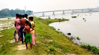 উল্লাপাড়ায় নদীতে গোসল করতে বৃদ্ধা নিখোঁজ, দুই দিন পর মরদেহ উদ্ধার
