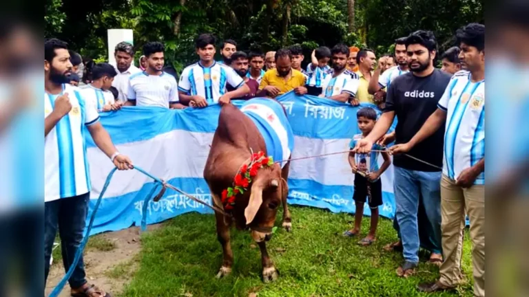 ফাইনালে আর্জেন্টিনা, গরুতে হবে ভূরিভোজ