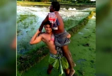 কৃষক সেজে ফসলি মাঠ থেকে সাজাপ্রাপ্ত পলাতক আসামিকে ধরল পুলিশ