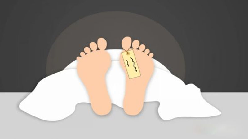 সাতক্ষীরায় সাপে কাটার পর কবিরাজের কাছে নেওয়ার চেষ্টা, শিশুর মৃত্যু