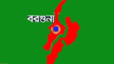 তালতলীতে বিএনপির দুই গ্রুপের পালটাপালটি সভা ঘিরে উত্তেজনা, অস্ত্রসহ আটক ৫