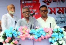 ফুলবাড়ীর দিকে তাকালেই তারা কয়লা ছাড়া কিছুই দেখে না: অধ্যাপক আনু মুহাম্মদ