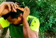 নাপিতের কাছে যাওয়ার সময় নেই, ১৭ বছর ধরে নিজের চুল নিজেই কাটেন মুজাহিদ