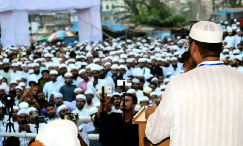 বিদ্যুৎ-জ্বালানি সংকট সমাধানে সরকারের প্রতি মামুনুল হকের আহ্বান