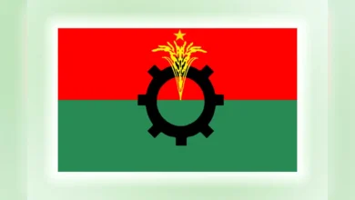 বিএনপির ভাইস চেয়ারম্যান পদে আসছে নতুন মুখ