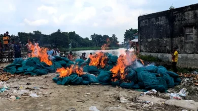 ব্রাহ্মণবাড়িয়ায় ৫০ লাখ টাকার অবৈধ রিং জাল জব্দ, ব্যবসায়ীকে লাখ টাকা জরিমানা