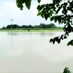 চাঁপাইনবাবগঞ্জে হৃদয়বিদারক ঘটনা: পাগলা নদীতে গোসলে নেমে ৫ শিশুর মৃত্যু