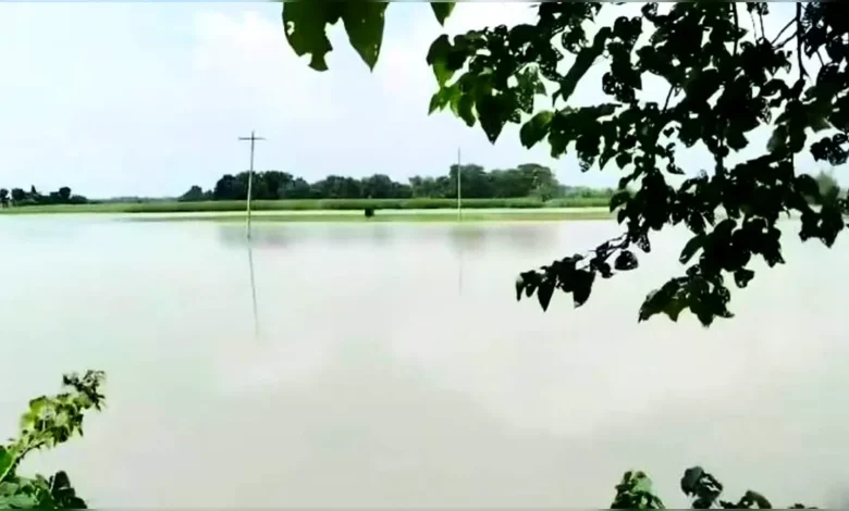 চাঁপাইনবাবগঞ্জে হৃদয়বিদারক ঘটনা: পাগলা নদীতে গোসলে নেমে ৫ শিশুর মৃত্যু