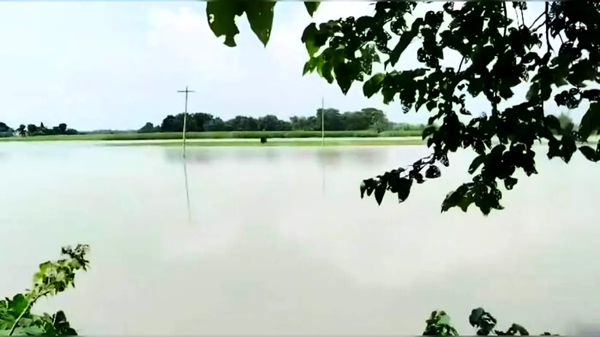 চাঁপাইনবাবগঞ্জে হৃদয়বিদারক ঘটনা: পাগলা নদীতে গোসলে নেমে ৫ শিশুর মৃত্যু