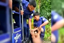 চুরি করতে গিয়ে ভিমরুলের প্রসঙ্গে কামড় উদ্ধার করতে বাড়ির মালিককে ডাকলেন চোর