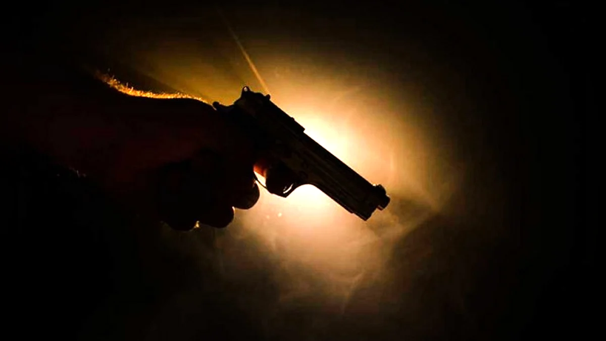 ডেমরায় বিএনপি নেতার বাড়ি লক্ষ্য করে গুলি