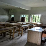 ডিমলায় গাছের বদলে ডাল রোপণ, ৮৭ শিক্ষার্থীর ৫১ জনই অনুপস্থিত