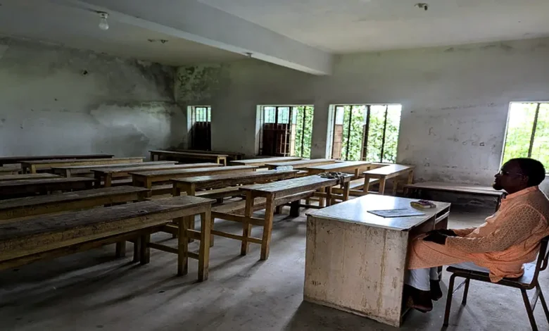 ডিমলায় গাছের বদলে ডাল রোপণ, ৮৭ শিক্ষার্থীর ৫১ জনই অনুপস্থিত