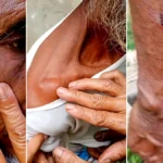 ৫ লাখ টাকার দাবির পরই তাণ্ডব! প্রবাসীর বাড়িতে হামলা