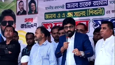 গ্যাস আমদানির নামে ১৭ বছর লুটপাট করা হয়েছে: প্রধানমন্ত্রীর প্রেস সচিব
