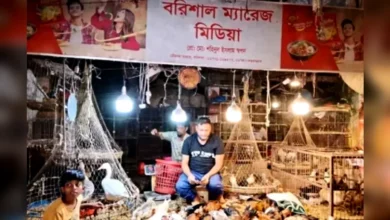 হাঁস-মুরগির দোকানে ম্যারেজ মিডিয়ার অফিস