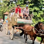 ২৫ বছর দায়িত্ব পালনে পর ঘোড়াগাড়িতে ইমামের রাজকীয় বিদায়