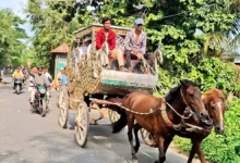 ২৫ বছর দায়িত্ব পালনে পর ঘোড়াগাড়িতে ইমামের রাজকীয় বিদায়
