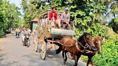 ২৫ বছর দায়িত্ব পালনে পর ঘোড়াগাড়িতে ইমামের রাজকীয় বিদায়
