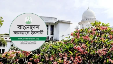 মন্ত্রী-প্রতিমন্ত্রী-হুইপদের দায়িত্ব বণ্টনের সিদ্ধান্ত চ্যালেঞ্জ করে জামায়াতের ১১ এমপির রিট