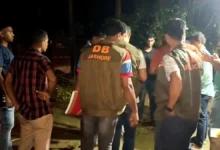 যশোরে মাকে কুপিয়ে হত্যা, ছেলে পলাতক