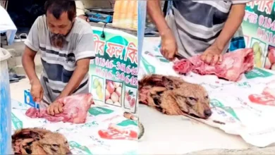 প্রকাশ্যে শিয়ালের মাংস বিক্রি, প্রমাণের জন্য পাশে রেখেছিল কাটা মাথা