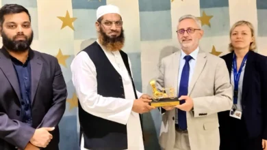 ইইউ রাষ্ট্রদূতের সঙ্গে মামুনুল হকের সৌজন্য সাক্ষাৎ