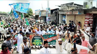 নাসিরনগরে ঈদে মিলাদুন্নবী (সা.) উপলক্ষে বর্ণাঢ্য জশনে জুলুছ