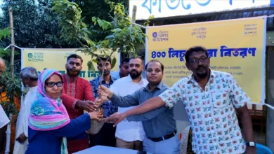 অনিকেত আলাম ফাউন্ডেশনের উদ্যোগে ৪শ পরিবারে লিচুর চারা বিতরণ