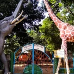 চট্টগ্রামে ব্যতিক্রমী উদ্যোগ: ১০০ গ্রাম প্লাস্টিক বর্জ্য দিলেই চিড়িয়াখানায়