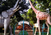 চট্টগ্রামে ব্যতিক্রমী উদ্যোগ: ১০০ গ্রাম প্লাস্টিক বর্জ্য দিলেই চিড়িয়াখানায়