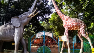 চট্টগ্রামে ব্যতিক্রমী উদ্যোগ: ১০০ গ্রাম প্লাস্টিক বর্জ্য দিলেই চিড়িয়াখানায়