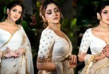 পূজা চেরির বিয়ে কি হয়ে গেছে? গুঞ্জনের জবাব দিলেন অভিনেত্রী নিজেই