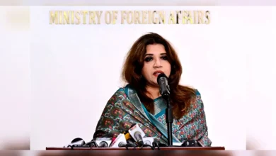 রোহিঙ্গাদের আশ্রয় ১০ বছর থেকে যেন ২০ বছরে না যায়: পররাষ্ট্র প্রতিমন্ত্রী শামা