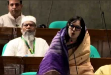 বিদ্যুৎ নিয়ে দুষ্টু লোকেরা বলে টুকু আসে টুকু যায়: সংসদে রুমিন ফারহানা