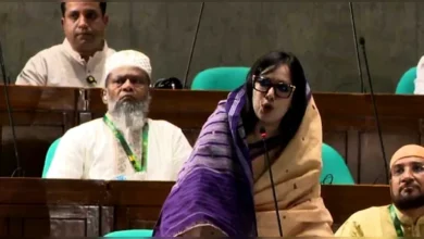 বিদ্যুৎ নিয়ে দুষ্টু লোকেরা বলে টুকু আসে টুকু যায়: সংসদে রুমিন ফারহানা