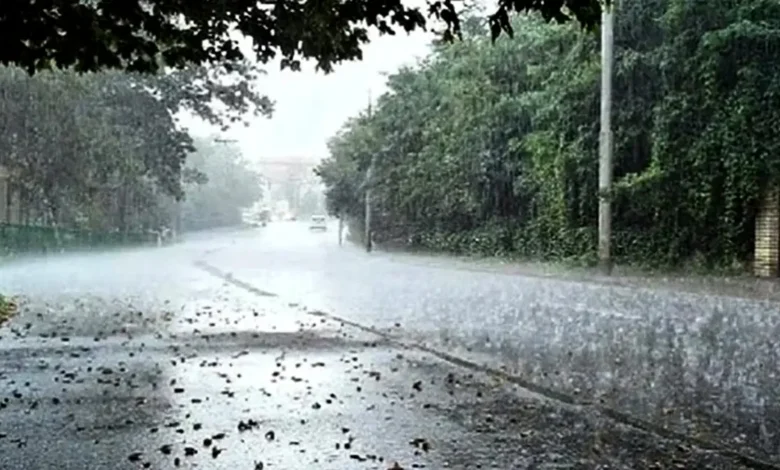 Rain Storm