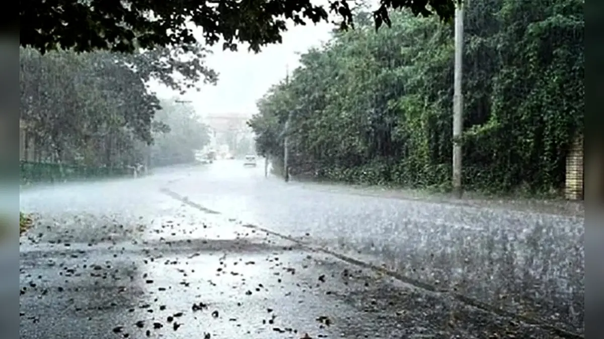 Rain Storm