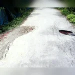 কার্পেটিং রাস্তা ছিদ্র করে পাইপ বসানোর অভিযোগ