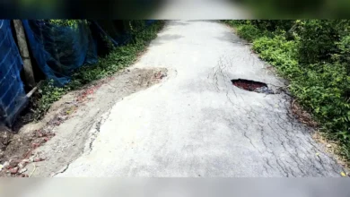 কার্পেটিং রাস্তা ছিদ্র করে পাইপ বসানোর অভিযোগ