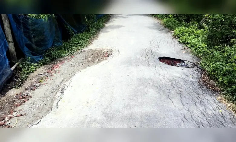 কার্পেটিং রাস্তা ছিদ্র করে পাইপ বসানোর অভিযোগ