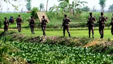 হত্যা করে ভারতে পালিয়ে যাওয়ার পর বিএসএফের হাতে ধরা ২ ভাই