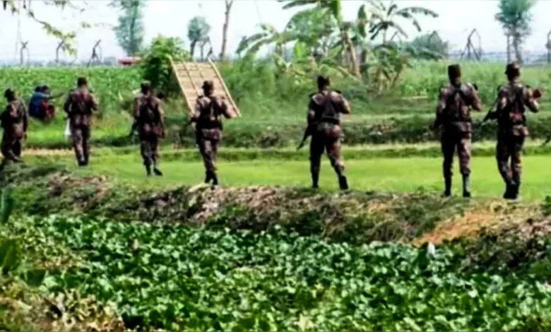 হত্যা করে ভারতে পালিয়ে যাওয়ার পর বিএসএফের হাতে ধরা ২ ভাই