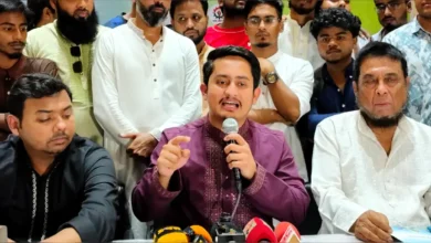 স্বরাষ্ট্রমন্ত্রী ‘প্রধানমন্ত্রীর প্রক্সি’ হিসেবে কাজ করছেন: সারজিস